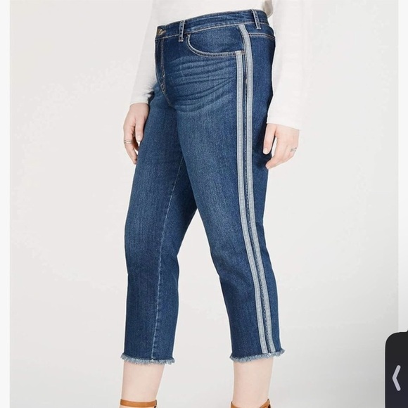Style & Co Slim Ankle Jeans side Striped Skinny Size 8 High rise - Picture 1 of 8